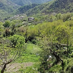 albergo-caprile.hotelitalianriviera.com/